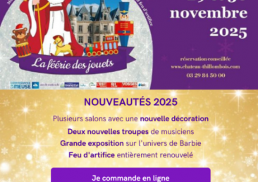 Profitez de notre Formule Famille (2 adultes + 2 jeunes = 42 €) au lieu de 50 €. Une nouvelle édition pleine de magie !